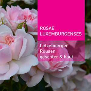 Shop - Rouse Classeur Rosae Luxemburgenses Lëtzebuerger Rousen gëschter an haut