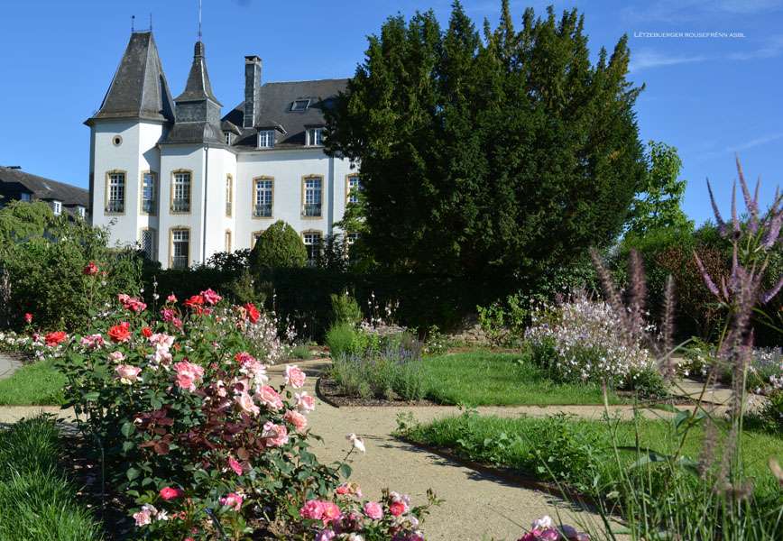 Rosengarten - Rose garden - Roseraie Château de munsbach - Luxembourg