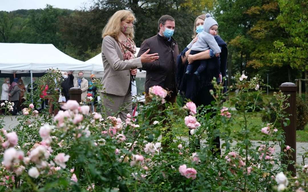 Rosentaufe ‘Prince Charles de Luxembourg‘