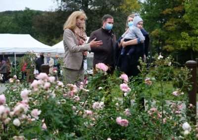 Rosentaufe ‘Prince Charles de Luxembourg‘