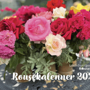 Lëtzebuerger Rousekalenner 2026