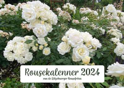 Rosenkalender 2024