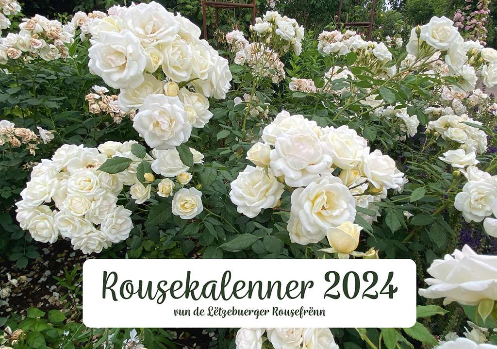 rousefrenn_Rousekalenner2024