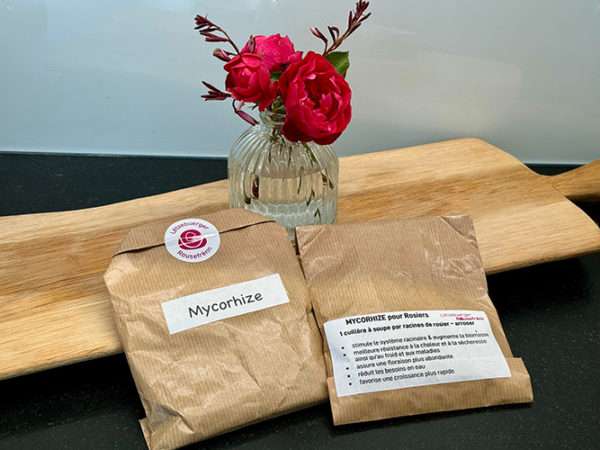 Mykorrhiza