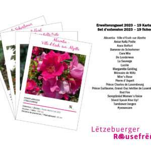 Set d‘extension 2023 – 19 fiches