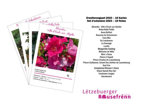 Set d‘extension 2023 – 19 fiches