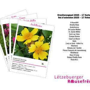 Set d'extension 2025 - 17 fiches