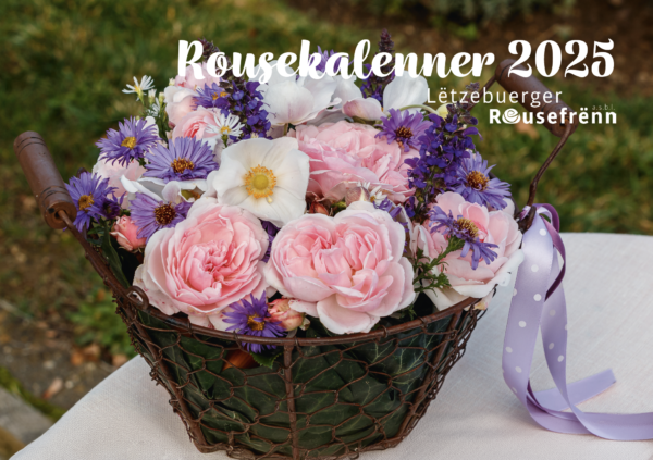 Lëtzebuerger Rousekalenner 2025