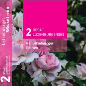 Classeur no 2 (vide) | Ringordner no 2 (leer)