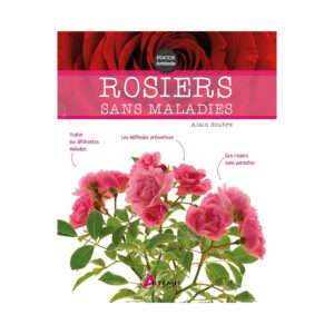Rosiers sans maladies