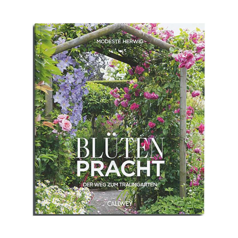 Blütenpracht - Der Weg zum Traumgarten